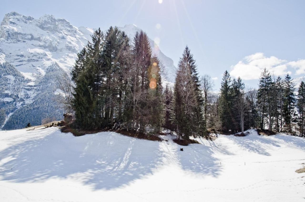 Apartment Grindelwaldgletscher - Griwa Rent Ag Bagian luar foto